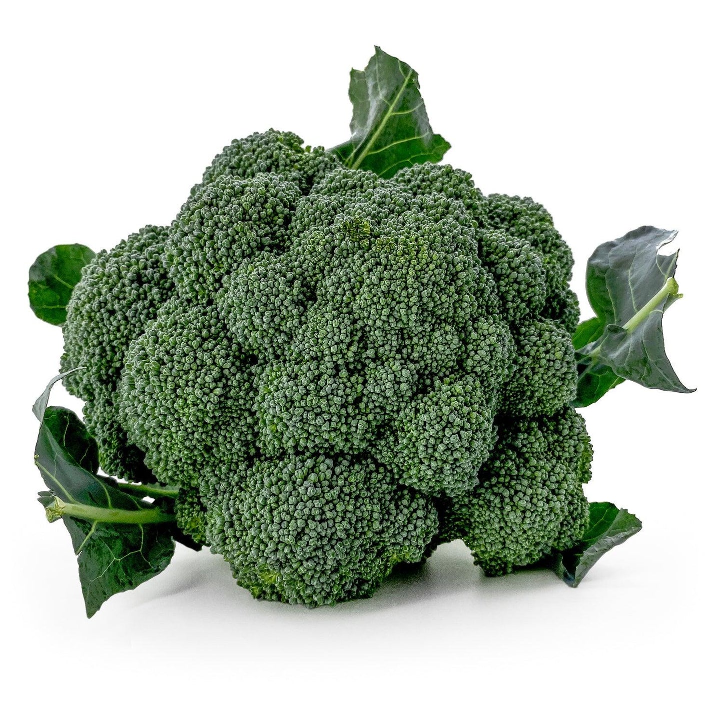 Broccolo Verde - Maltese Mercati