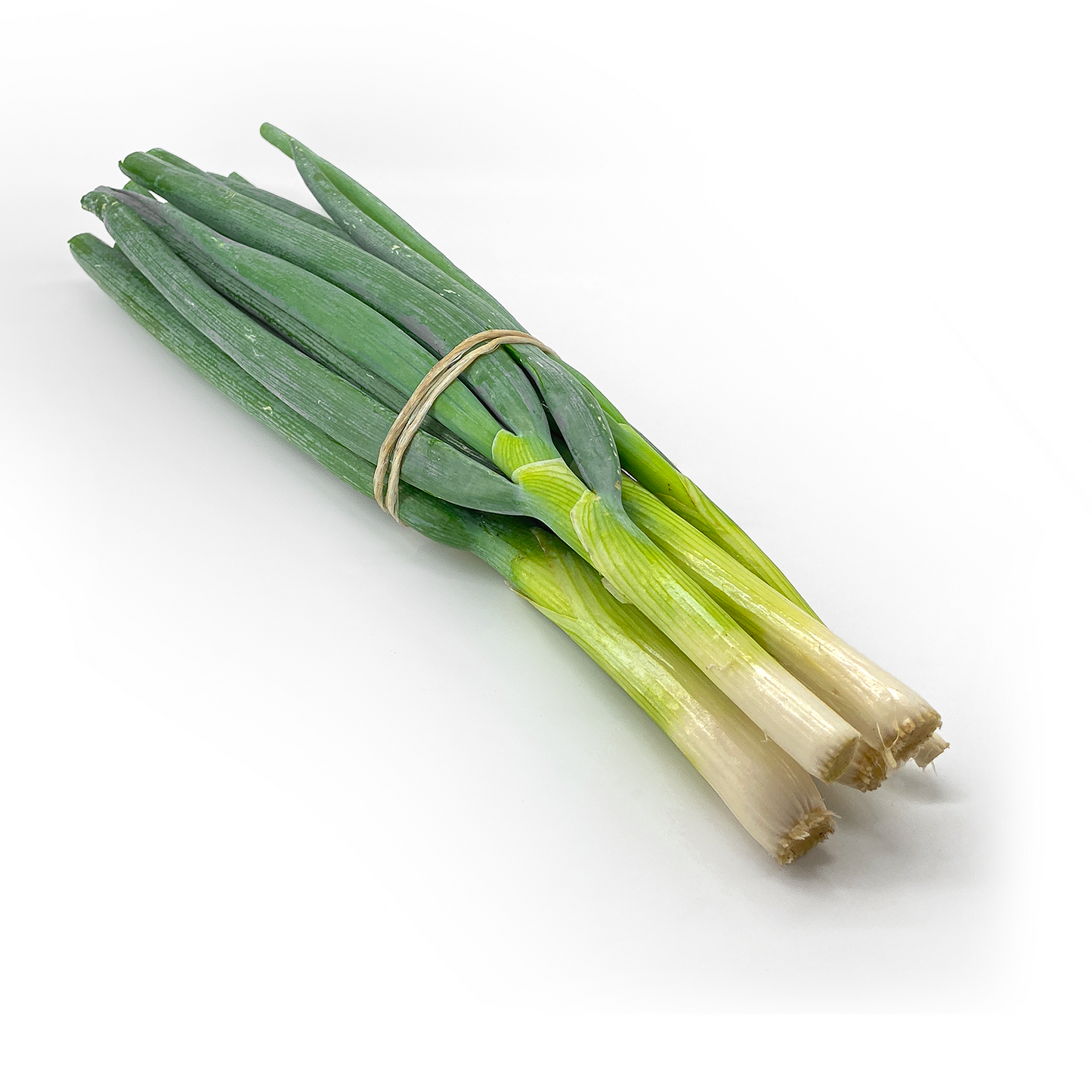 Cipollotto - Maltese Mercati