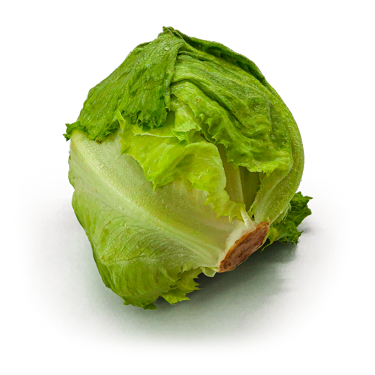 Lattuga Iceberg - Maltese Mercati