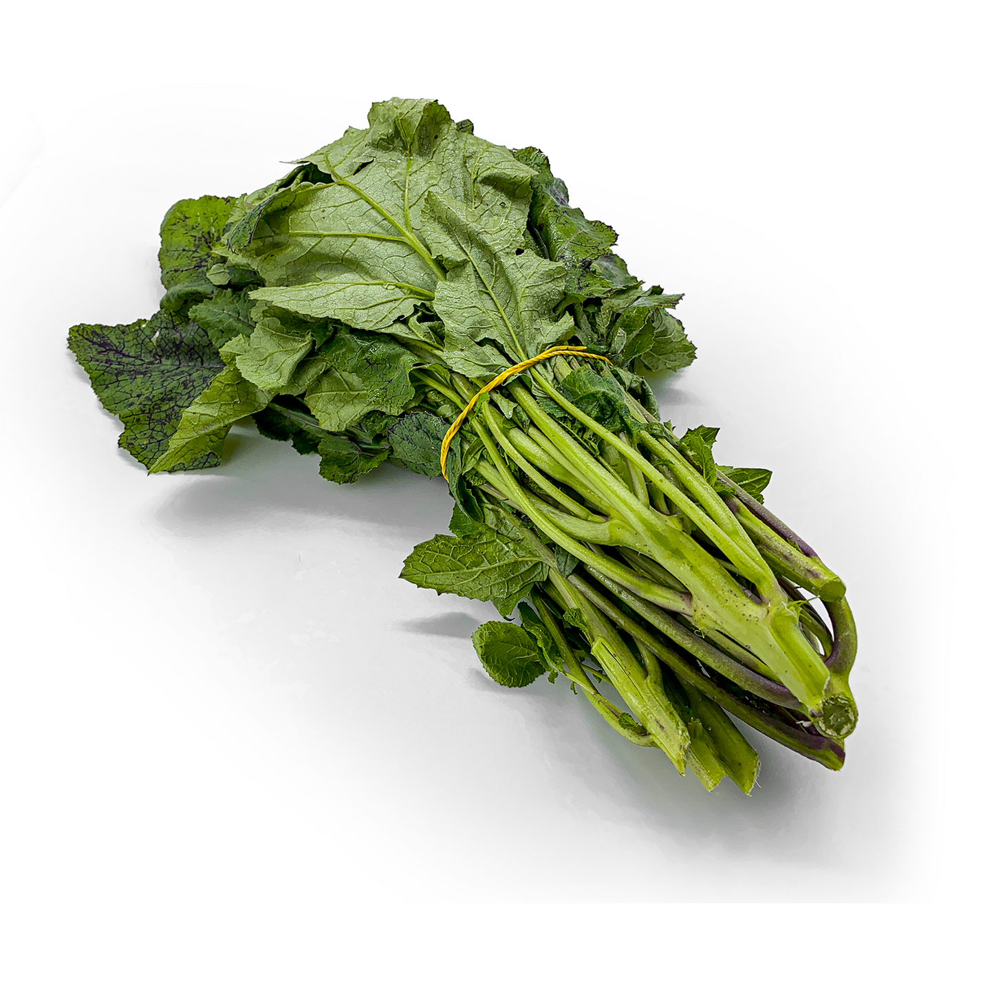 Sanape Selvatica - Maltese Mercati