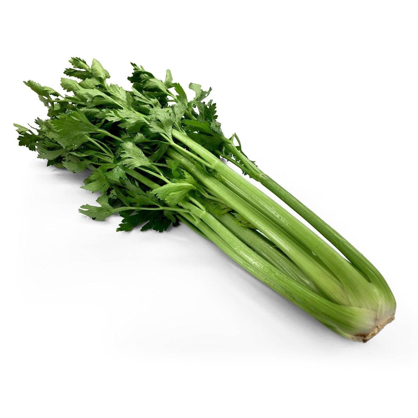 Sedano - Maltese Mercati