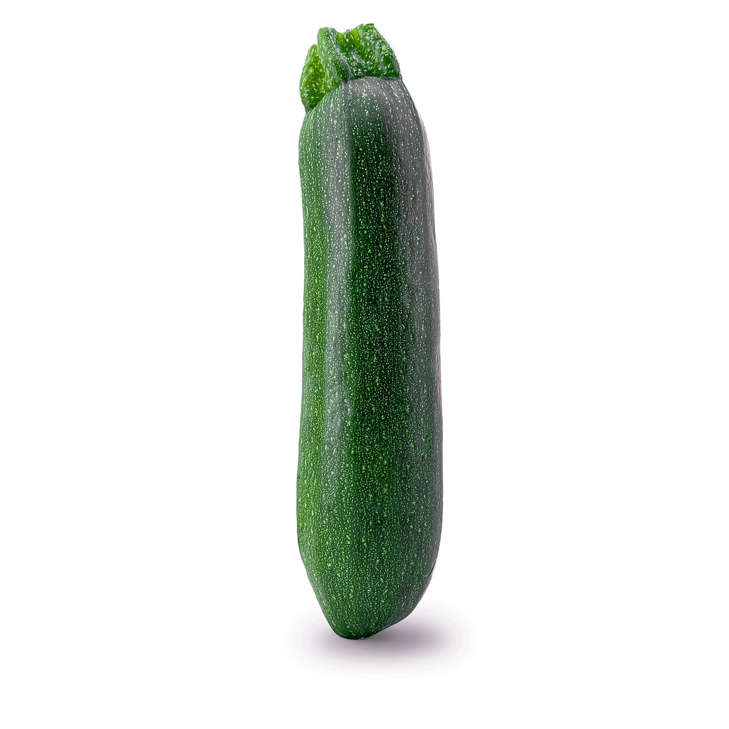Zucchino Verde - Maltese Mercati