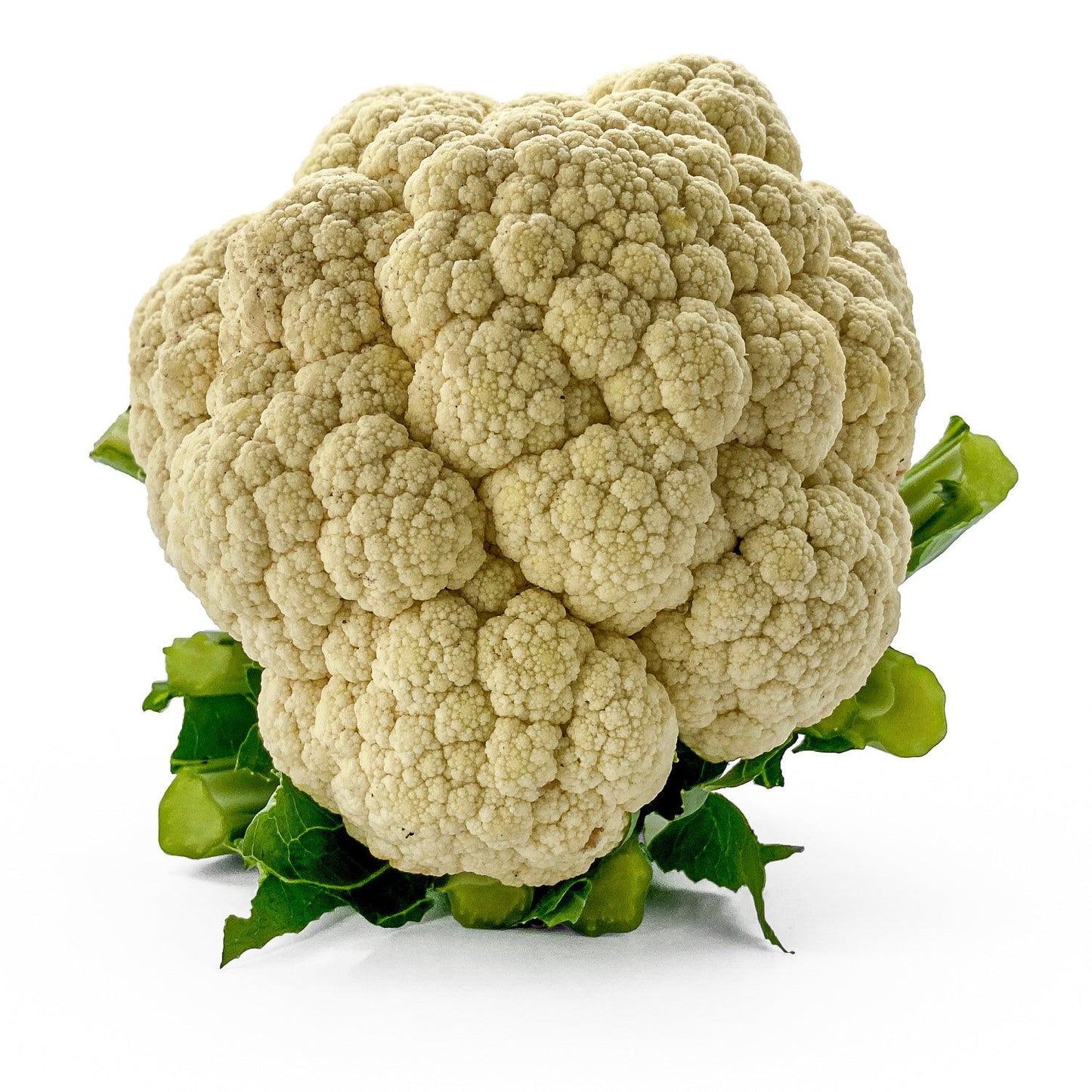 Cavolfiore Bianco - Maltese Mercati