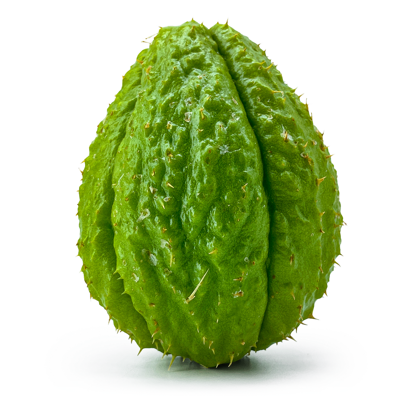 Cheyope - Maltese Mercati