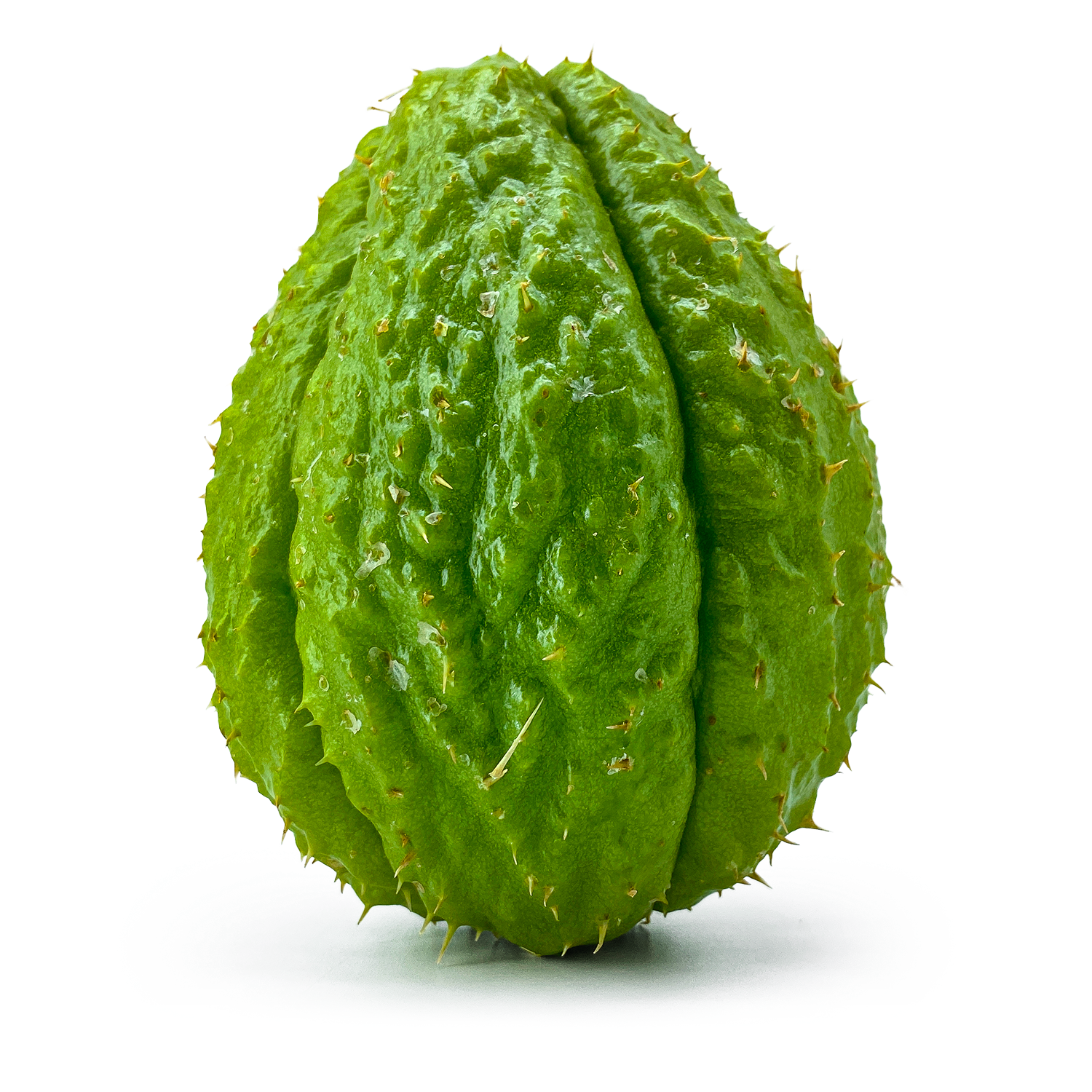 Cheyope - Maltese Mercati