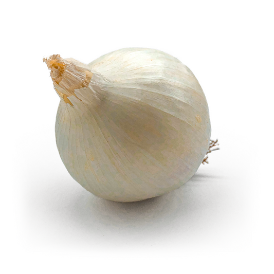Cipolla Bianca Tonda - Maltese Mercati
