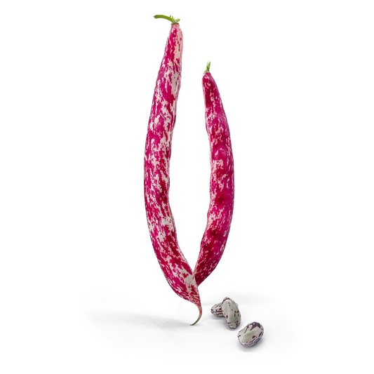 Fagioli Borlotti - Maltese Mercati
