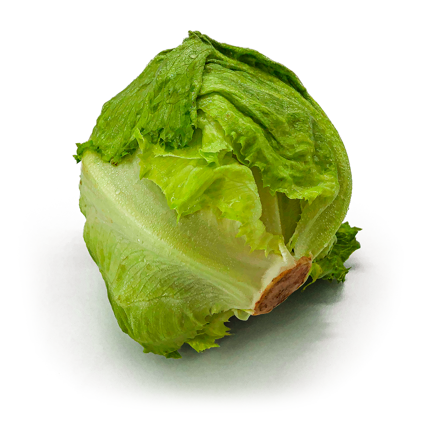 Lattuga Iceberg - Maltese Mercati