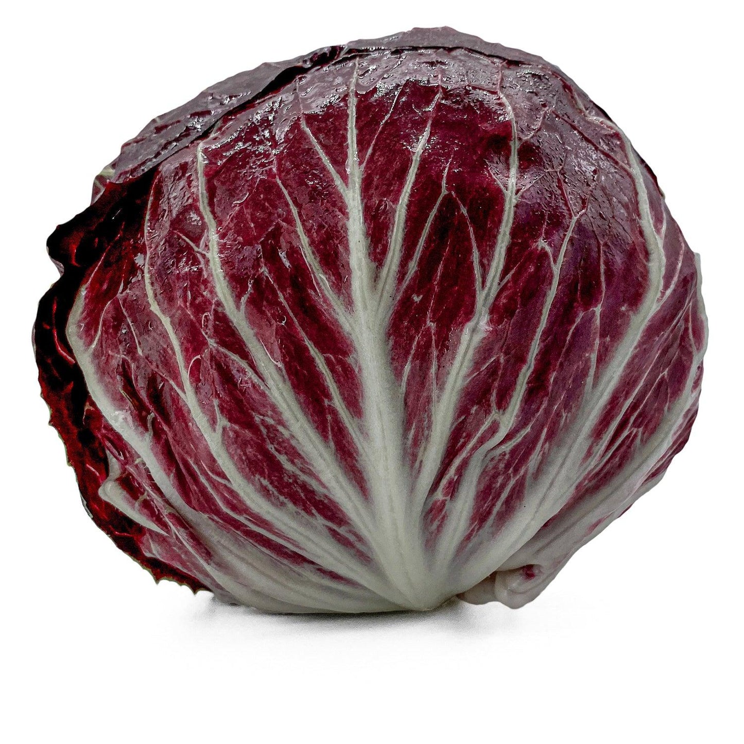Radicchio - Maltese Mercati