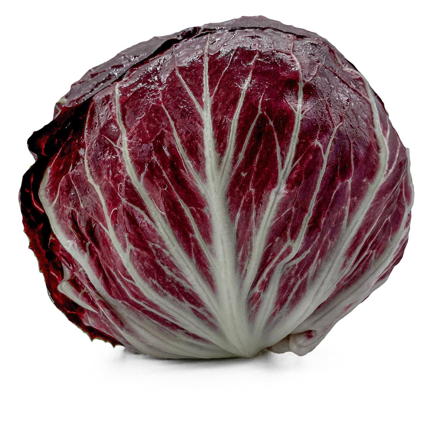 Radicchio - Maltese Mercati