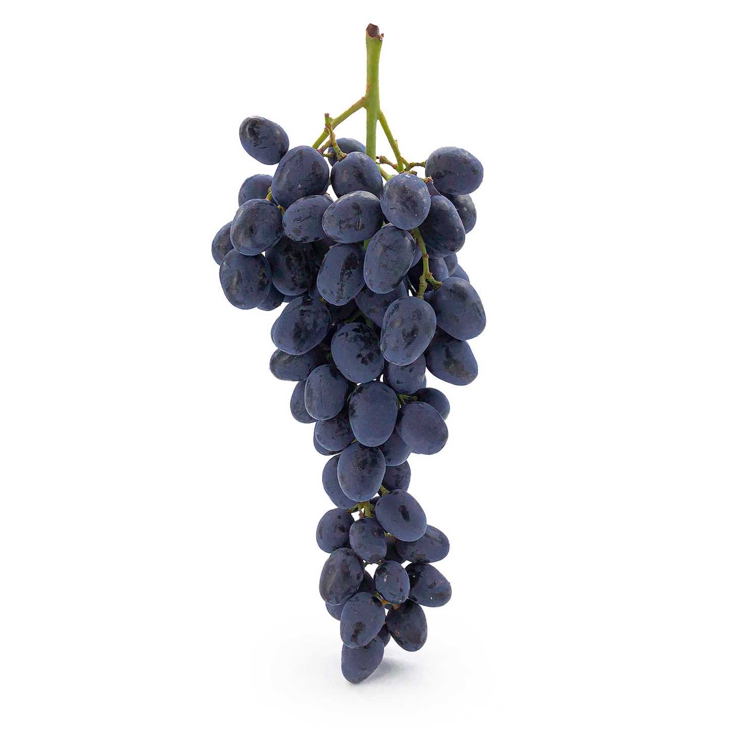 Uva Nera