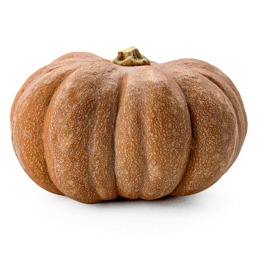 Zucca Gialla - Maltese Mercati
